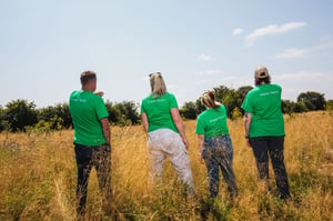 Agroforestry Restoration Project image 13