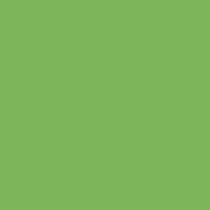 Sustainability Maturity Assessment Socials-09