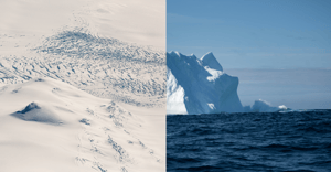 polar-before-and-after-1