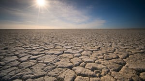 record high global temperatures highlight urgency of climate action