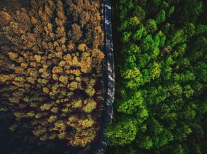 Future-Proof with ISO 14068 Carbon Neutrality Certification