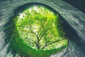 Green Claims Directive Withdrawn
